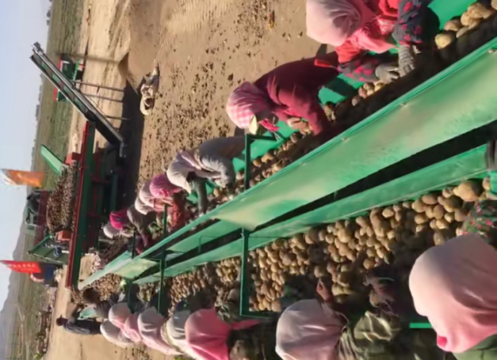 減速機(jī)廠家推薦大型土豆收割流水線齒輪減速電機(jī)選型方案 減速機(jī)廠家推薦大型土豆收割流水線齒輪減速電機(jī)選型方案